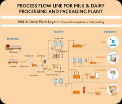 10 expert flow chart of how cheese is made