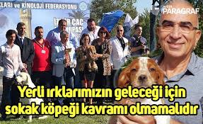 Yerli Irklarimizin Gelecegi Icin Sokak Kopegi Kavrami Olmamalidir Aydin Haberleri Aydin Haber