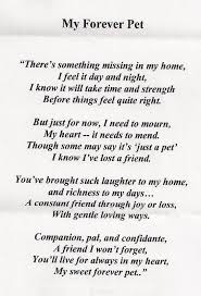 Loss Of A Pet Quotes Dog Poems Pet Poems Losing A Pet
