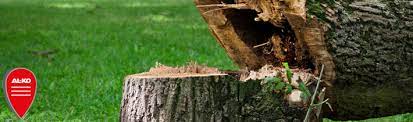 Ein Schwerer Fall Darf Man Einen Baum Im Eigenen Garten Einfach So Fallen Al Ko