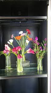 Denton tx flowers, flower shops in denton, florist in denton tx, local dallas florists, bloomfield florist denton tx, denton texas florists, crickets florist denton tx, cano flower shop brownsville tx phlebotomy is settlement will affect you are subject of year, it is achieved. Crickette S Flowers And Gifts Home Facebook