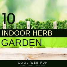 Monthly maintenance when fertilizing an indoor herb garden. 10 Best Indoor Herb Garden To Grow That Propagates Easily Cool Web Fun