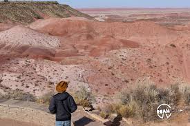 Often times, the best way to get to know the heart of a park is to spend the night with it. Petrified Forest National Park Arizona Roam Lab
