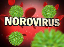А, норовирус 2 геногруппы, астровирус, рнк (rotavirus a, norovirus 2, astrovirus, пцр) кал, кач. Norovirusnaya Infekciya Murmanskaya Oblastnaya Klinicheskaya Bolnica Im P A Bayandina