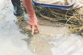 Pirg, the break free from plastic movement and a coalition of ngos and recyclers are urging u.s. Us House Passes Plastic Pellet Pollution Crackdown
