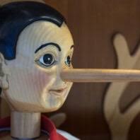 Flamingos Are Making a Home in Florida Again After 100 Years