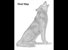 How do you draw a easy wolf howl? How To Draw Wolf Howling Youtube