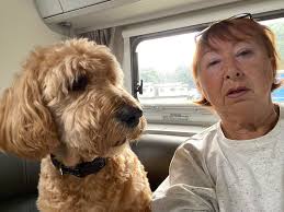 Good morning fellow owners, I have a friend who is looking for a motorhome.  Please let me know if you have one for sale. In Australia