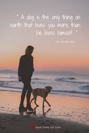 You send condolence messages when people die, don't you? 50 Heartfelt Loss Of Dog Quotes Dog Quotes Pet Grief Loss Of Dog