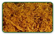 Tobacco Seeds How To Grow Tobacco At Home With Heirloom Tobacco Seeds