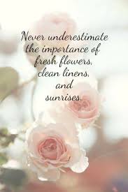 Pin By Debra On Inspiring Memes Flower Quotes Flower Quotes Love Flowers