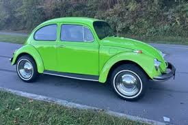 Image result for Delta Green 1969 Volkswagen