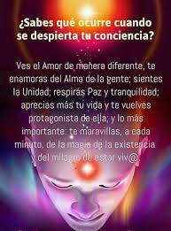 Pin En Amor Universal