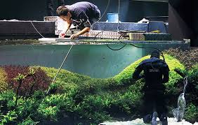 In 1992, his photographic book, nature aquarium, and mizu shizen eno kaiki, were interpreted into seven languages. The World S Largest Nature Aquarium Project Takashi Amano X Oceanario De Lisboa Aquascaping Aquarienpflege Planted Aquarium