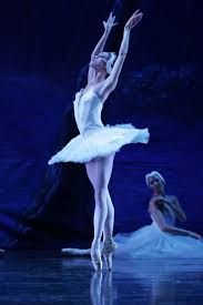 Black And White Swan Ballet Black Or White Swan Lake Ballet Swan Lake Ballet Images