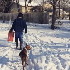 Simply put, it boils down, the understanding of what a puppy potty training boot camp is, but importantly……is not? Hat Creek Dog Training Dog Training Services For Sandy Utah 801 641 3333