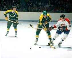 We did not find results for: California Golden Seals An Interview With Mark Greczmiel