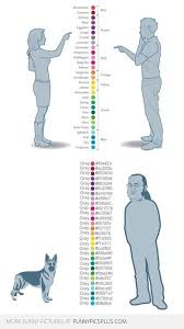 Guy Vs Girl Color Chart 2019