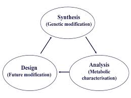 We've already hinted at the cost. Role Of Cultivation Media In The Development Of Yeast Strains For Large Scale Industrial Use Microbial Cell Factories Full Text