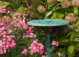 Availability ~ backordered by mnf Telescopes Of Vermontgarden Telescopes The Porter Garden Telescope