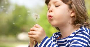 10 Heartwarming Stories Of Last Wishes Being Fulfilled