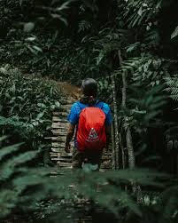 Belanja online aman dan nyaman di koki jempol, gunung putri, kab. As Soon As I Saw You I Knew An Adventure Was About To Happen Winnie The Pooh Visit Our Official Webstore For More Akasakaoutdoor Co Id Anendlessjourne