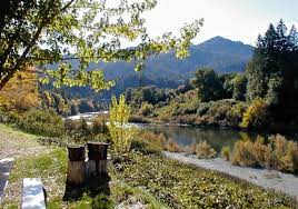 If you arrive after hours, use the park map above to help find your assigned space. Agness Rogue River Rv Park Oregon Coast Visitors Association
