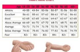 average female pulse rate heart rate zones