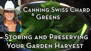 How to freeze zucchini (summer squash) two ways. Canning Swiss Chard And Greens Storing And Preserving Your Garden Harvest Youtube
