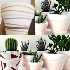 Correct preparation for spray painting indoors safely. Spray Painting Clay Pots You Can Do It Too Steps In Comments Succulents