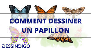 2) à partir du centre du rectangle, tracez une ligne verticale et une ligne horizontale divisant la forme manière égale. Realiser Un Dessin De Papillon Dessindigo