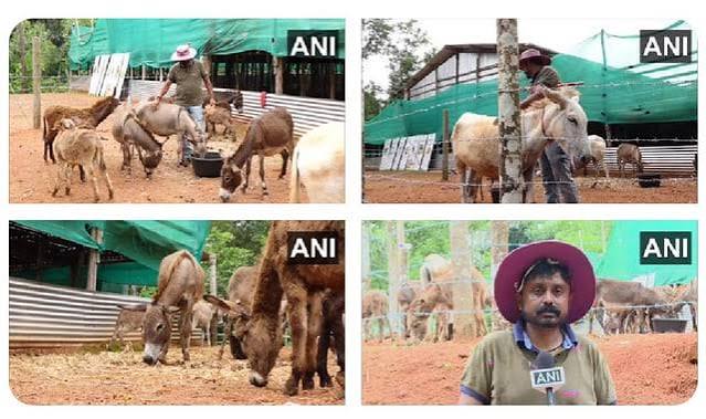 Karnataka | A man quits his IT job to open a 'Donkey Milk Farm' in Mangaluru I was previously employed in a software firm until 2020. This is one of a kind