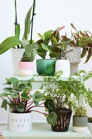 I M Pretty Sure That Almost Everyone I Know Owns This Ikea Bekvam Step Stool Especially If You Have Toddlers We Are De Plant Stand Ikea Step Stool Step Stool