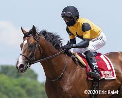 Pin On Horse Racing Continued