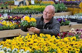 Each nichol's store stocks a comprehensive range of plants, seedlings, trees, shrubs and perennials, as well as giftware, home. Popular Port Coquitlam Garden Centre To Close After 30 Years Tri City News