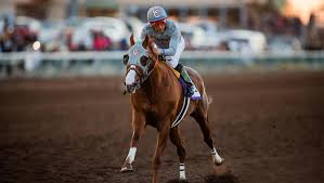 California Chrome Cruises In Winter Challenge Stakes