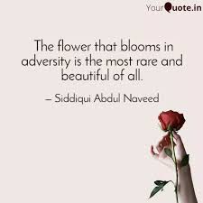 The flower that blooms in adversity is the most rare and beautiful of all. The Flower That Blooms I Quotes Writings By Hug Me Im Writer Yourquote
