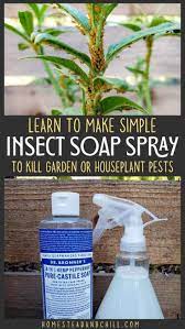 Homemade Organic Garden Soap Spray Recipe Kill Aphids Other Pest Insects Homestead And Chill Bug Spray For Plants Homemade Organic Soap Organic Bug Spray