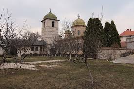 O vizită la zimbrăria de la hațeg și amintirile uneia mai vechi de la vânători neamț, a ațâțat în mine dorința de a cerceta originile acestor animale. MÄƒnÄƒstirea Negru VodÄƒ Obiective Turistice Arges DeÈ™tepÈ›i Ro