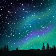 Aurora boreal no céu estrelado e floresta de pinheiros | Vetor Premium