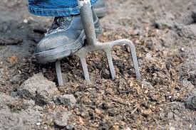 How To Improve Clay Soil And Poor Garden Drainage Fall Vegetables To Plant Garden Soil Low Maintenance Garden Design