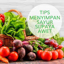 Penting untuk mengetahui cara menyimpan bahan makanan, baik itu daging, sayur dan buah, yang sebelum disimpan, jangan lupa untuk ditiriskan lalu dikeringkan. Tips Menyimpan Sayur Supaya Awet So Good