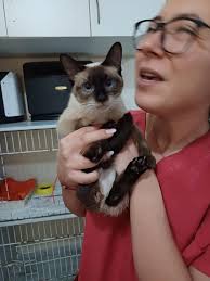 Rescued a dumped farm kitten named Lilith