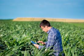El propósito del nuevo instituto fue el de ofrecer a los alumnos de la facultad de agronomía de los últimos 2 años, cursos de ingeniería agrícola. 22 De Febrero Dia Del Agronomo En Mexico Agtech America