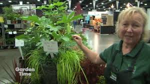 Let hgtv help you transform your home with pictures and inspiration for interior design, home decor, landscape design, remodeling and entertaining ideas. Garden Time At The Fall Home And Garden Show 2018 Youtube