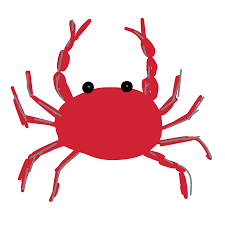 Here's a brief video showing you how to draw another version of the crab. How To Draw Crab Jjftngdxo Png Step By Step Drawing