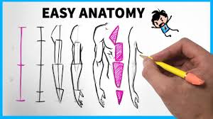 Easy Anatomy How To Draw Arms Youtube