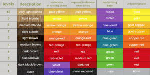 Hair Undertones Chart Sbiroregon Org