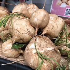 What to cook with kale onion jicama and zucchini. Jicama Information Recipes And Facts