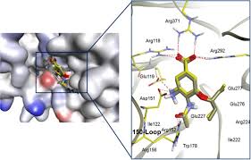 The data center is an entire ecosphere, which has to be looked at as individual components but also holistically, sienkiewicz said. Potential New H1n1 Neuraminidase Inhibitors From Ferulic Acid And Vanillin Molecular Modelling Synthesis And In Vitro Assay Scientific Reports